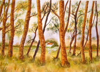 watercolour painting, scenery, woodland view at Cañada de la Leña, Alicante, Spain