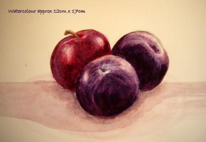watercolour still life 3 plums