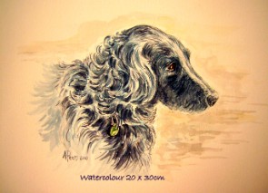 Watercolour pet portrait 20x30cm Sold