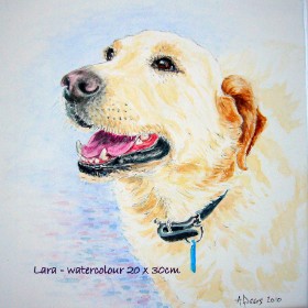 Watercolour pet portrait Lara SOLD
