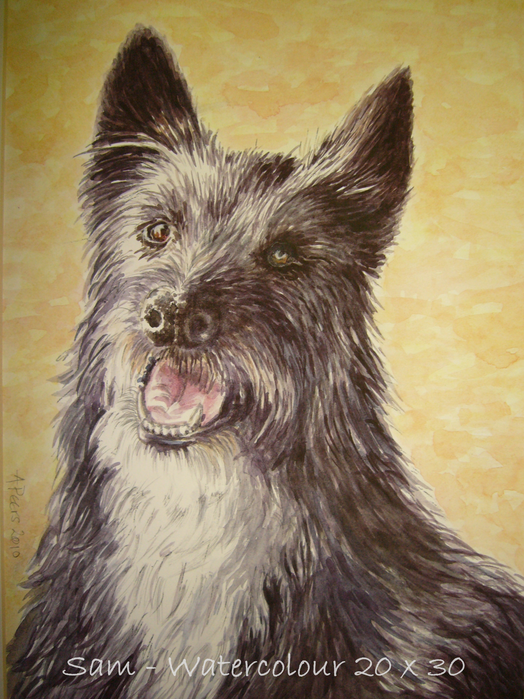 Watercolour pet portrait Sam 20x30cm
