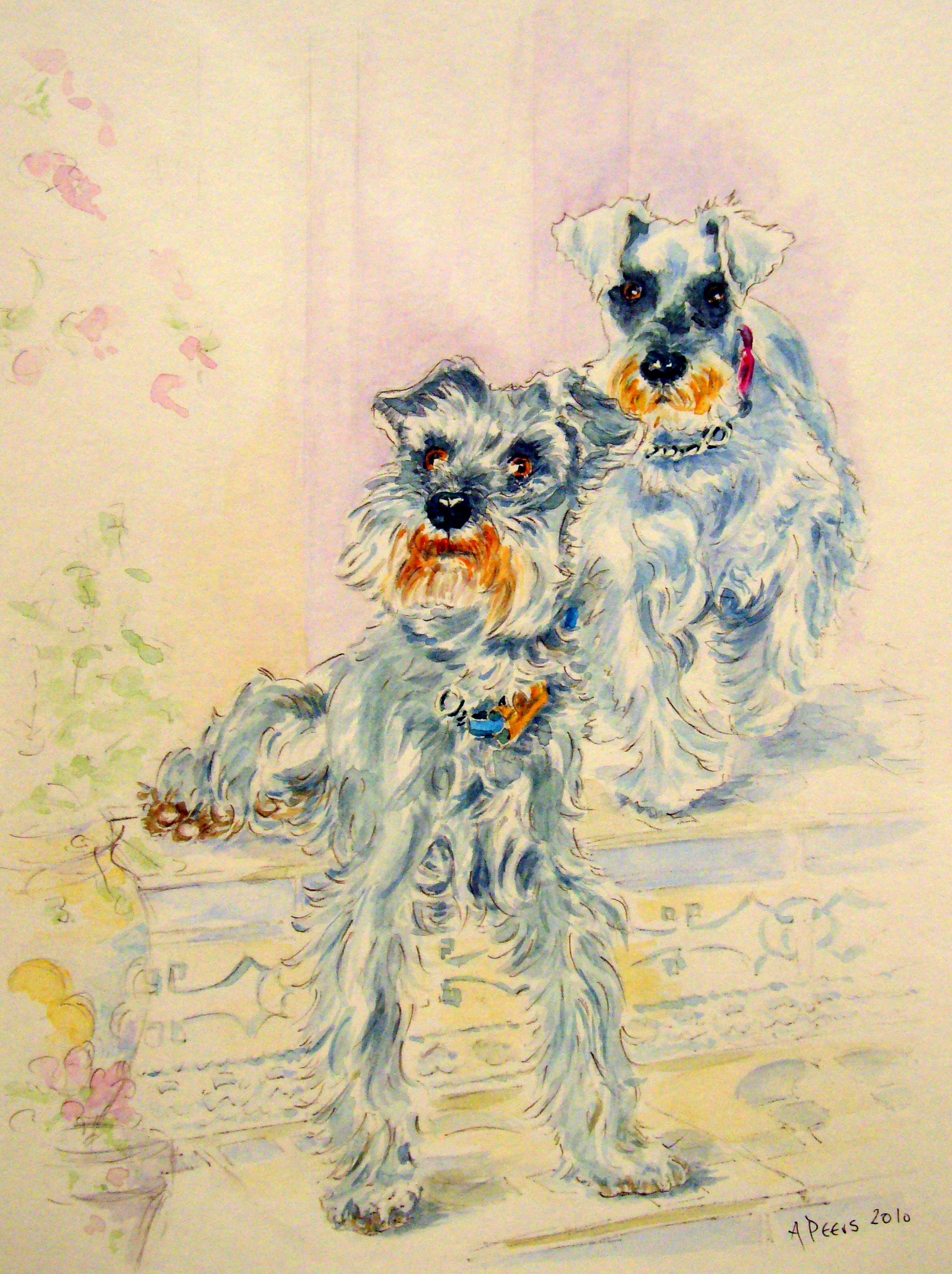 Watercolour pet portrait - 2 schnauzers Jack and Beryl SOLD