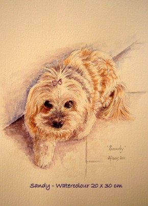 Sandy - watercolour  pet portrait 20 x 30 cm SOLD