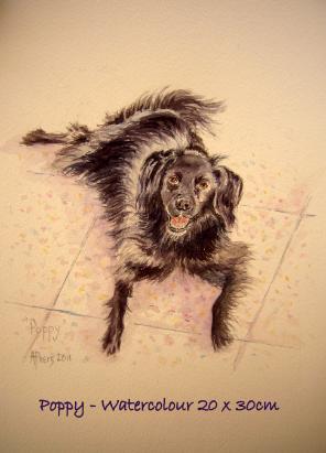 Watercolour pet portrait Poppy SOLD