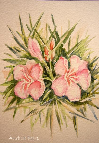 watercolour flower painting - oleander - handpainted card, Costa Blanca Spain