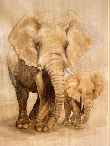 watercolour animal painting - african elephants - mother and baby