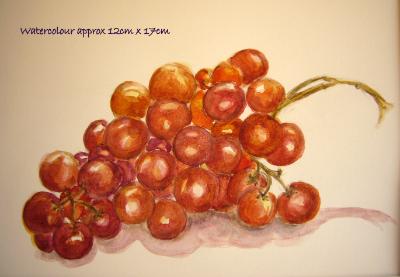 watercolour still life moscatel grapes
